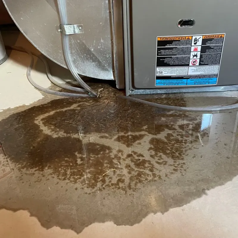 Pipe Burst and Leak Restoration in Parker County, TX