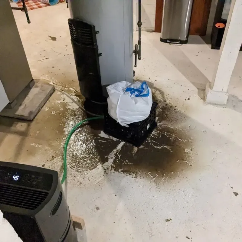 Sewage Backup Cleanup Service in Parker County, TX